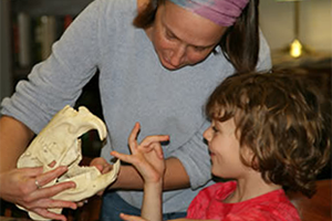 Adult holds the scull of a beaver as a young child touches it's large teeth.
