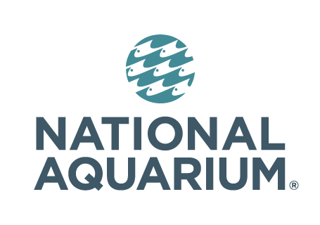 Homeschool Days at the National Aquarium in Baltimore