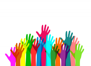 Volunteer