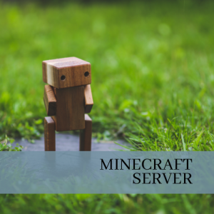 Minecraft Server Graphic